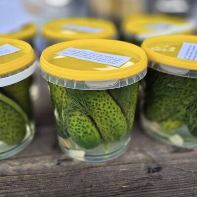 24 tunni soolakurgid